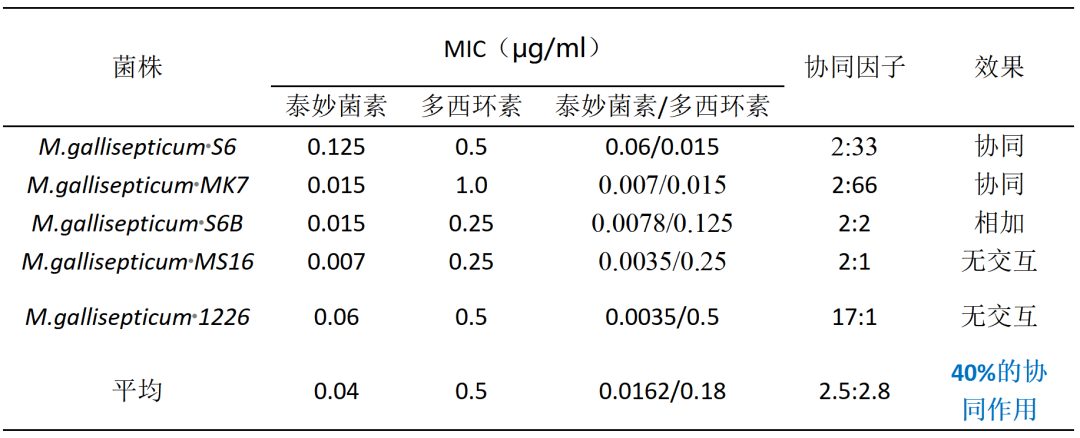 泰妙菌素和多西环素单独和联合治疗6株鸡毒支原体MIC比较研究