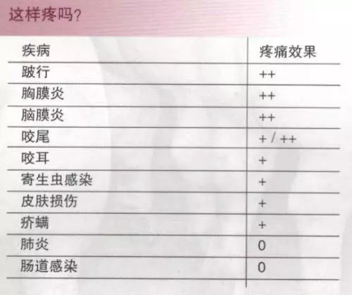 疼痛效果