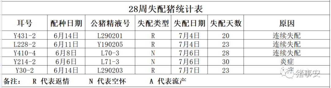 母猪失配统计表