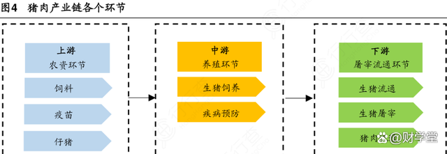 猪肉产业各个环节