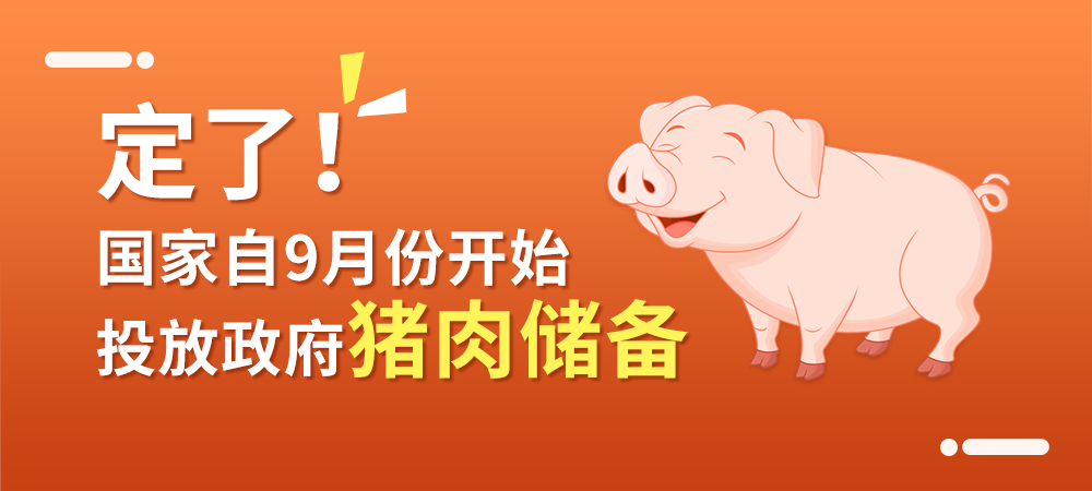 定了！国家自9月份开始投放政府猪肉储备 