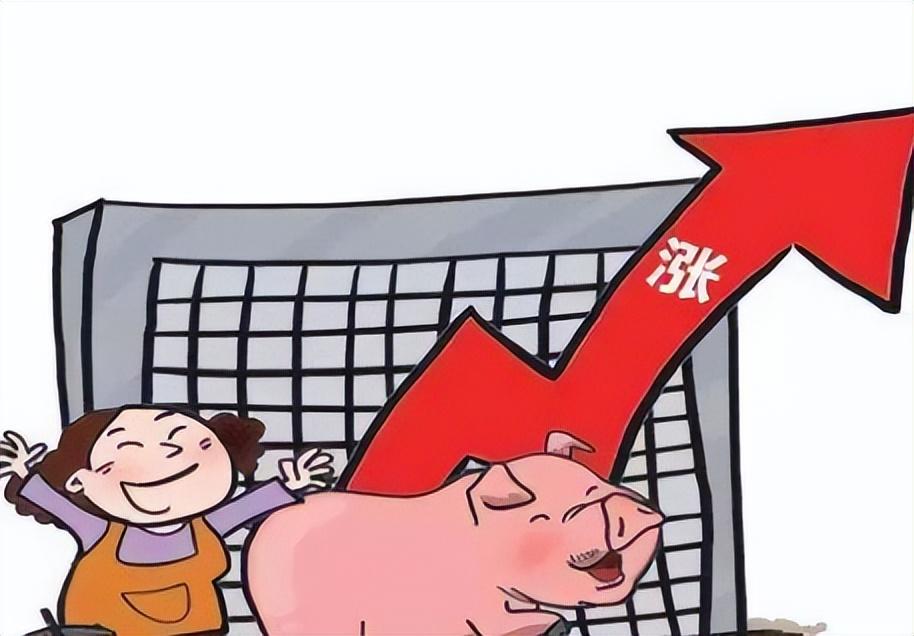 猪价上涨