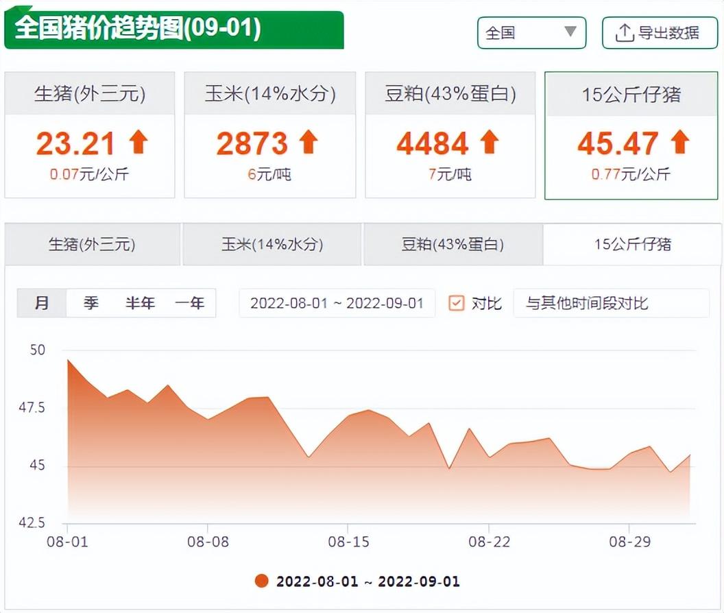 生猪身价大涨217.5元！仔猪价格或将乘势而上？仔猪后市如何？