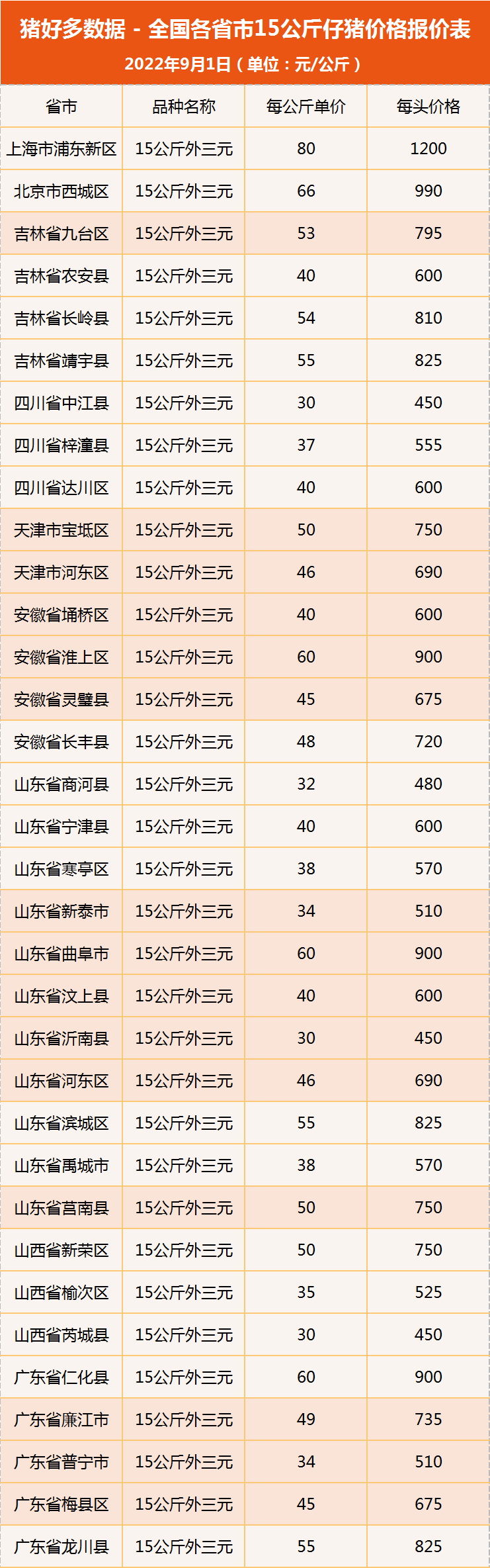 生猪身价大涨217.5元！仔猪价格或将乘势而上？仔猪后市如何？