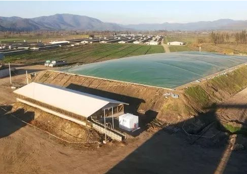 猪场粪污该如何管理？可采用将嘌呤作为资源的技术！