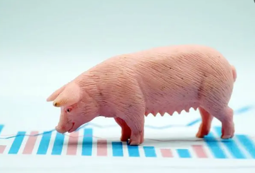 影响9月份生猪市场变化几大因素探析，9月猪价还能涨吗？