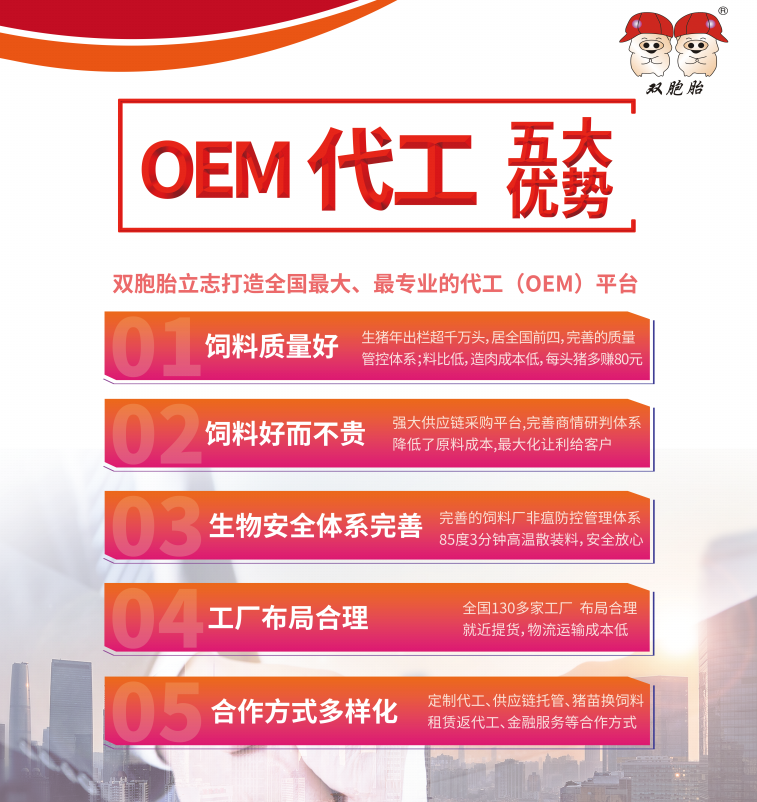 双胞胎
