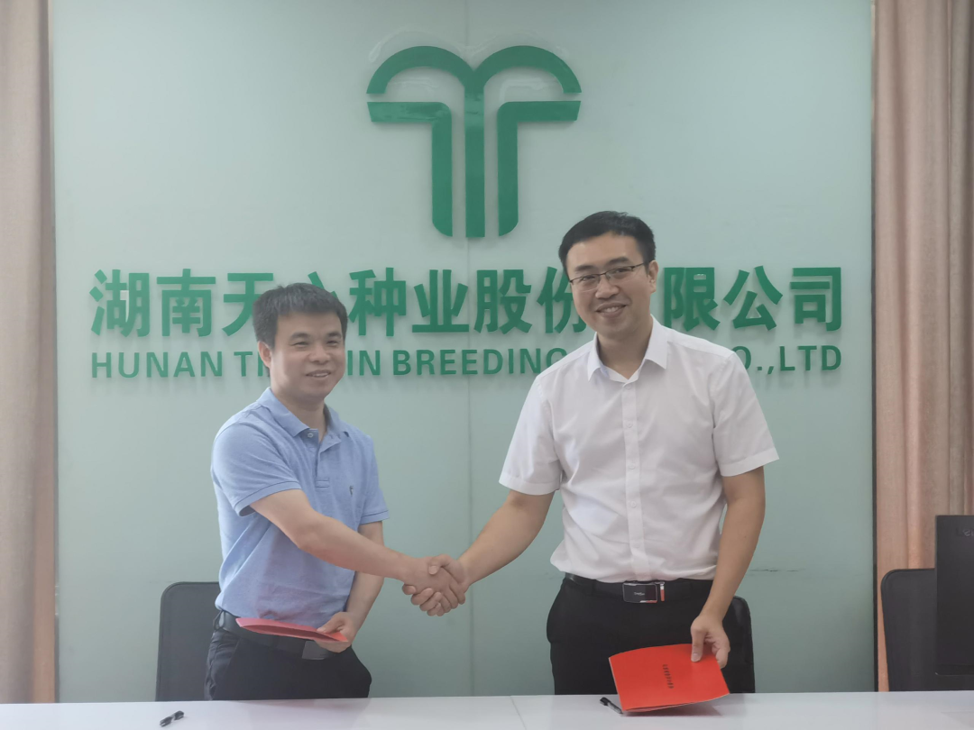 双胞胎集团与湖南天心种业深化战略合作