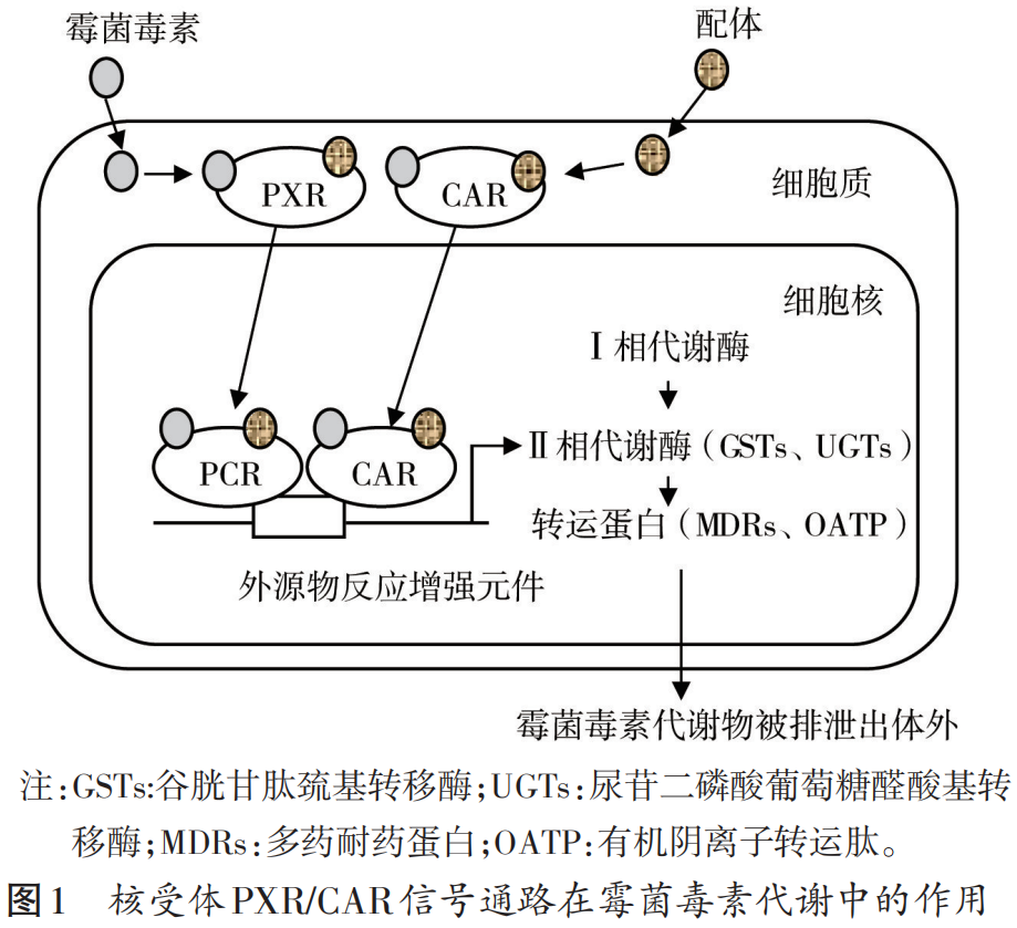 解霉剂