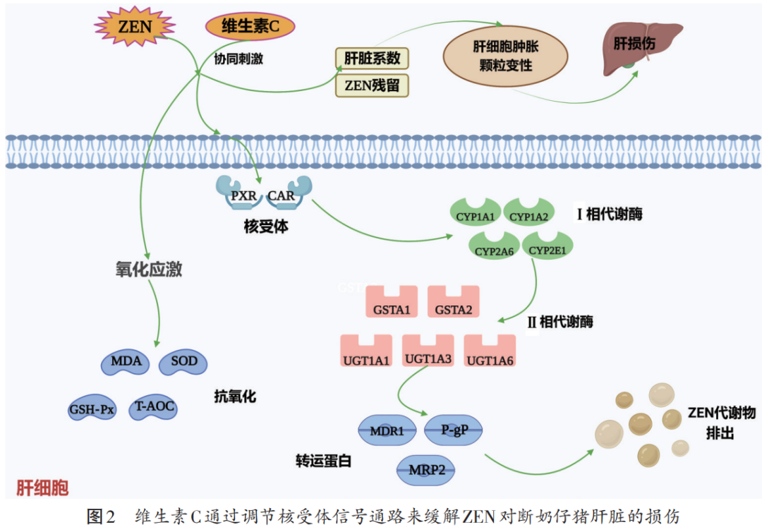 解霉剂