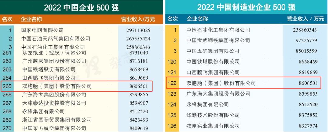 2022年中国企业500强发布，双胞胎集团位居中国企业 500 强第 265名