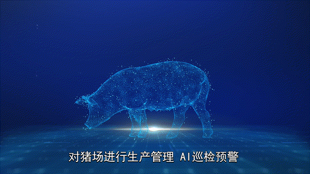 猪小智