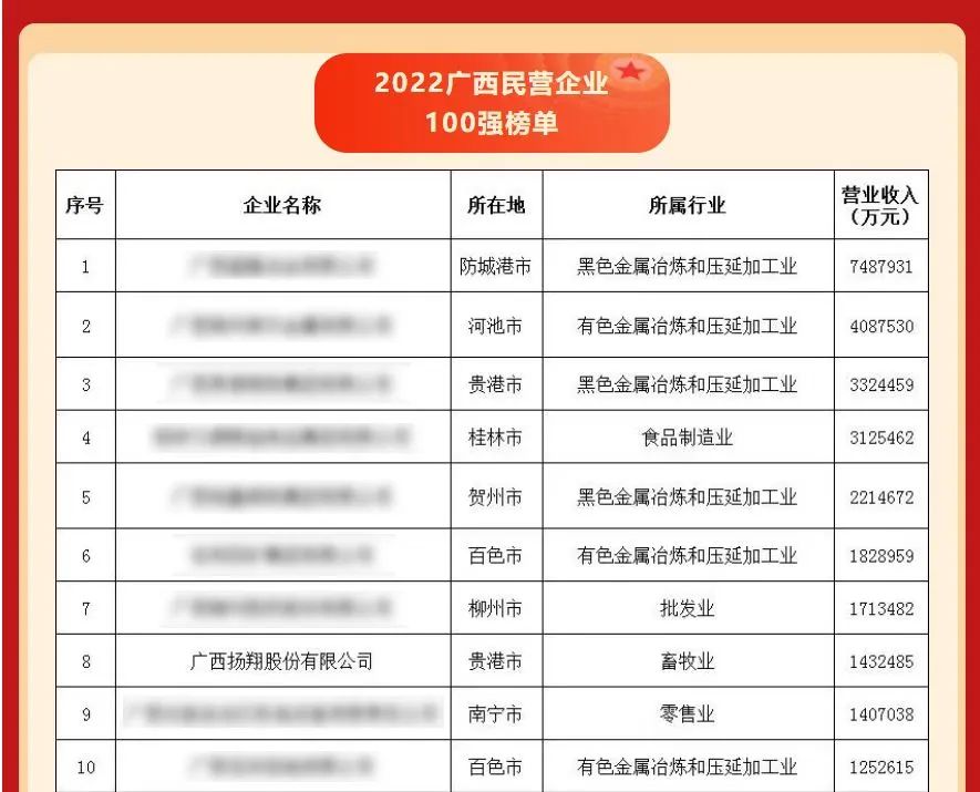 广西民营企业100强