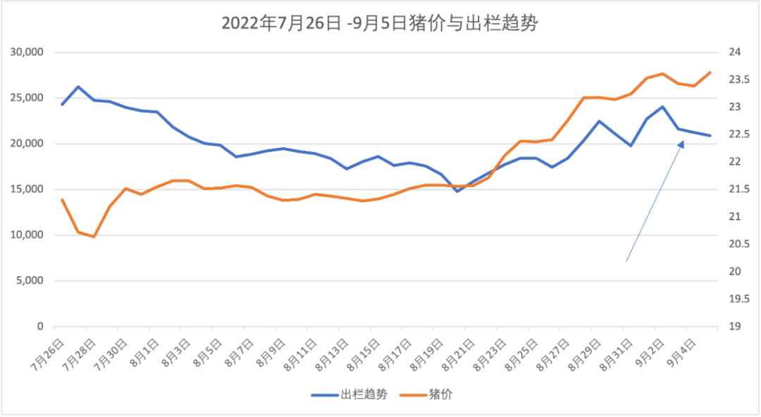 屠企与规模场博弈激烈，猪价波动频繁！