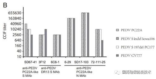 使用单克隆抗体通过CCIF评价各种PEDV毒株之间的抗原交叉反应