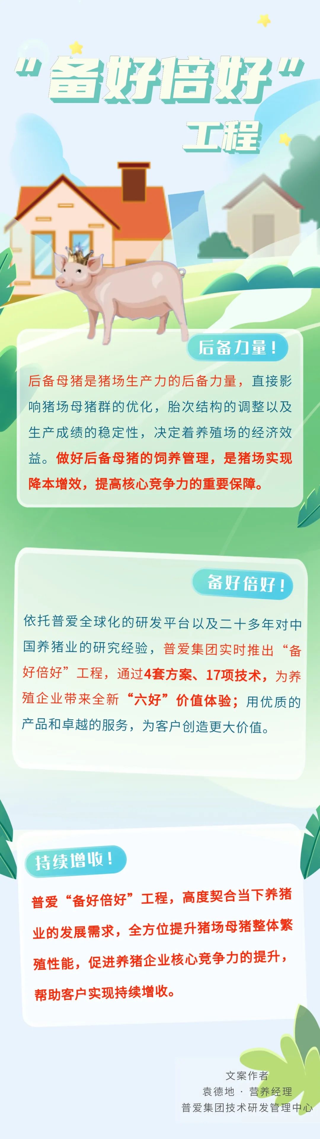 后备母猪是猪场的未来！要注意后备母猪的饲养管理的这4大要点！