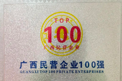 2022年广西民营企业100强榜单发布！扬翔股份荣获榜单第8名！
