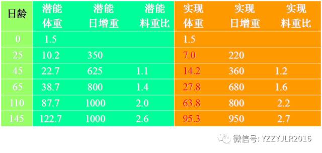 猪的生长潜能和已实现的目标