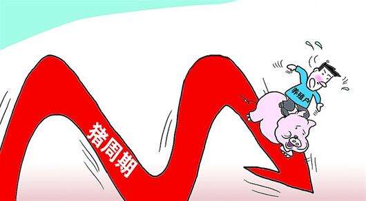 中国养猪业进入新周期？为什么这个猪周期会不同以往？