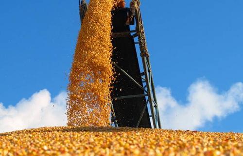 豆粕持续攀升，饲料价格“涨涨不休”，涨幅多在50-200元/吨！