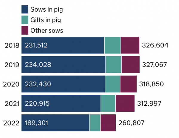 2018年至2022年英国母猪种群的情况