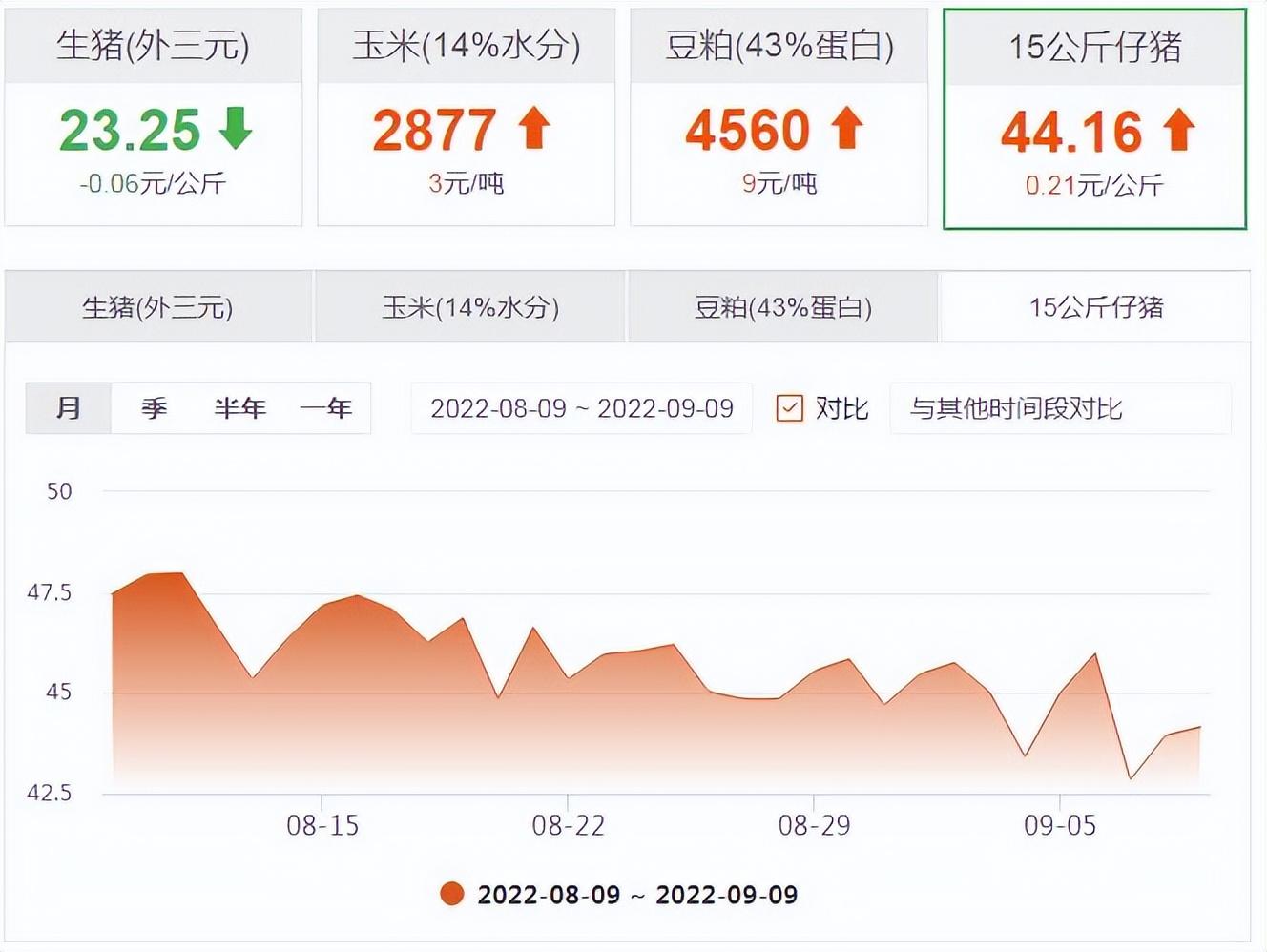 9月9日仔猪价格