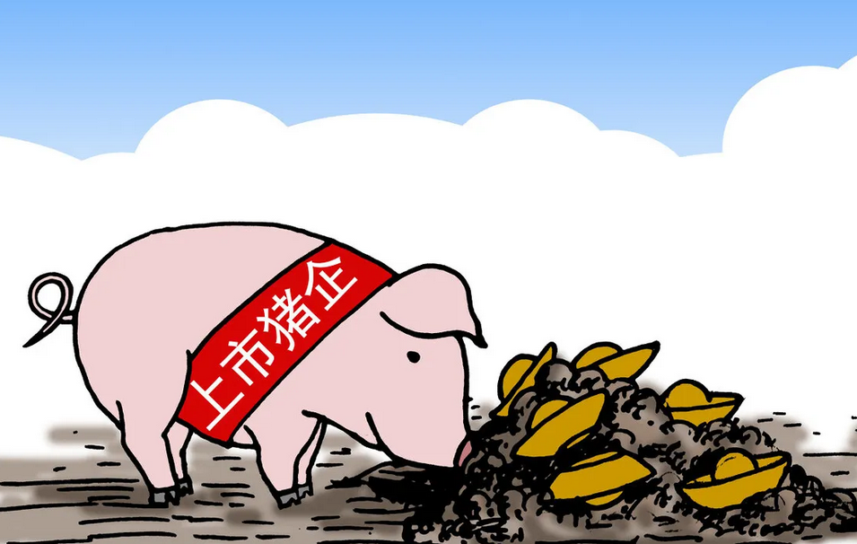 上市猪企
