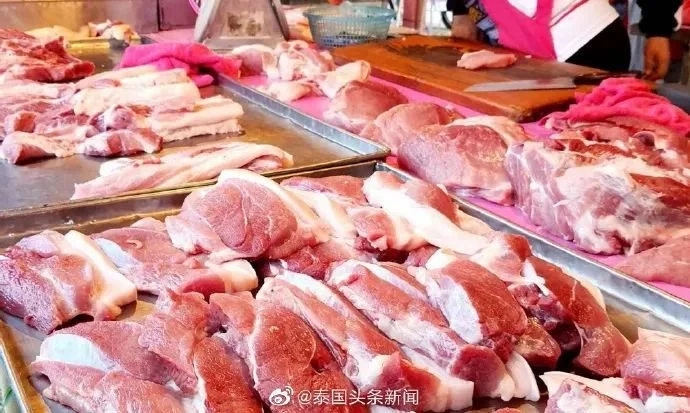 大量走私猪肉涌入泰国，其官方查获非法冷冻猪肉11641公斤！