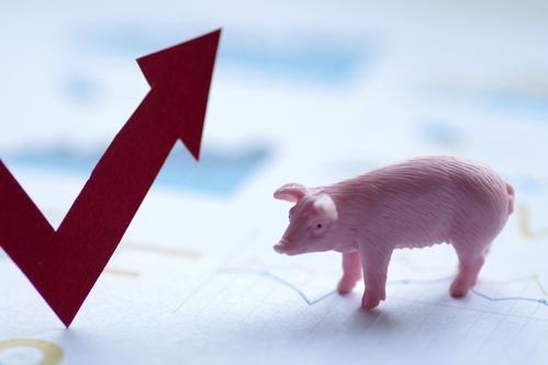 猪肉板块上涨2.23%，猪价“三连涨”，生猪价格会突破12元大关吗?