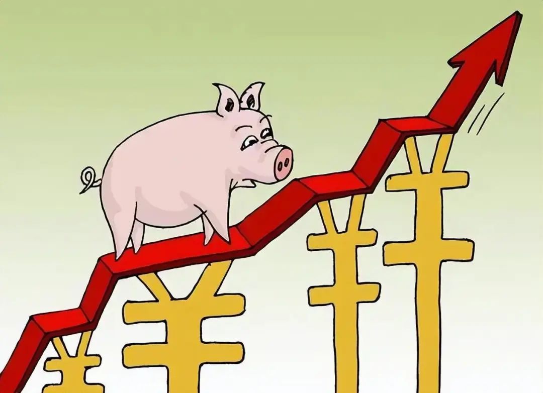 9月14日猪价持续上涨后要“崩塌”？未来是继续上涨还是已见顶？