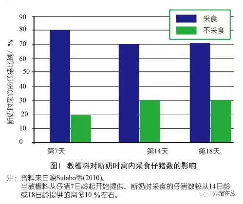 教槽料对断奶时窝内采食仔猪数的影响