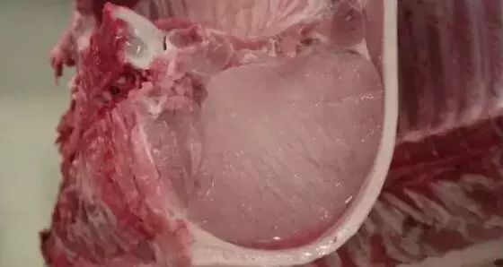 猪肉发白、滴水，问题猪肉？ 养猪人怎么避免？