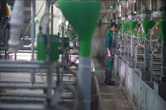 藏粮于技！农业农村部公布饲料豆粕减量替代典型，扬翔股份上榜！