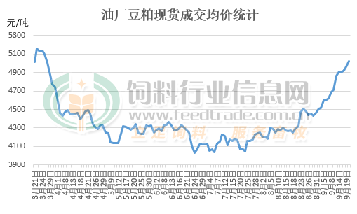 豆粕将全面突破5100元/吨！官方全面推进豆粕“减量替代”，进展如何？