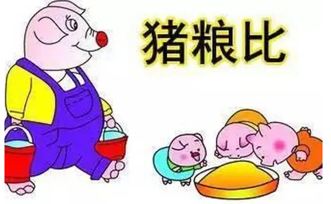 樊福好：什么是猪粮比？猪粮比多少才保本？