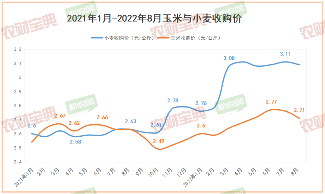 玉米与小麦收购价