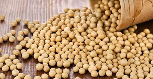 2022年09月27日全国各省市豆粕价格行情，今日豆粕均价上涨60元/吨，豆粕价格为何涨起来没完？