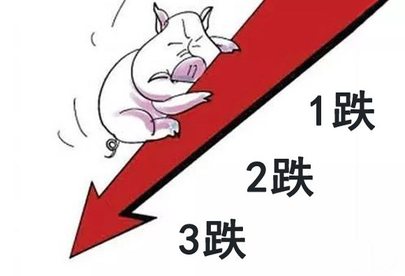 临近国庆，猪价市场呈现“逢节多跌”的态势，难道要一跌不起吗？