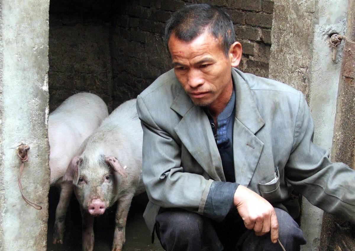 国家发改委正式宣布，猪价过度上涨二级预警！农业农村部联手调控