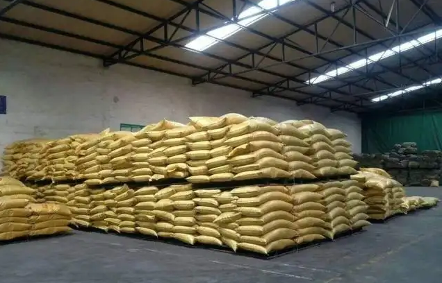 10月进口大豆偏少，预计10月广东豆粕现货价格将高位震荡