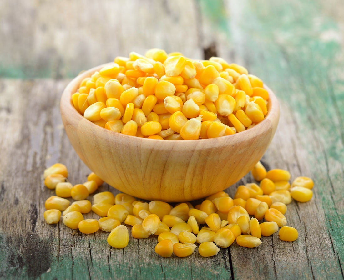 8月我国粮食进口现状及玉米替代进口分析，那种粮食可以替代玉米？