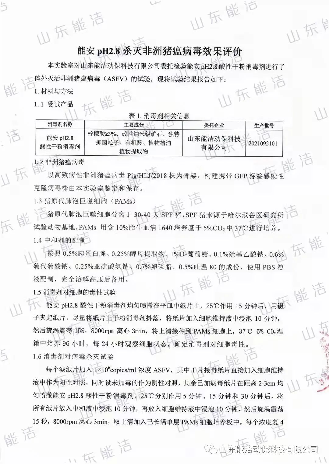试验报告