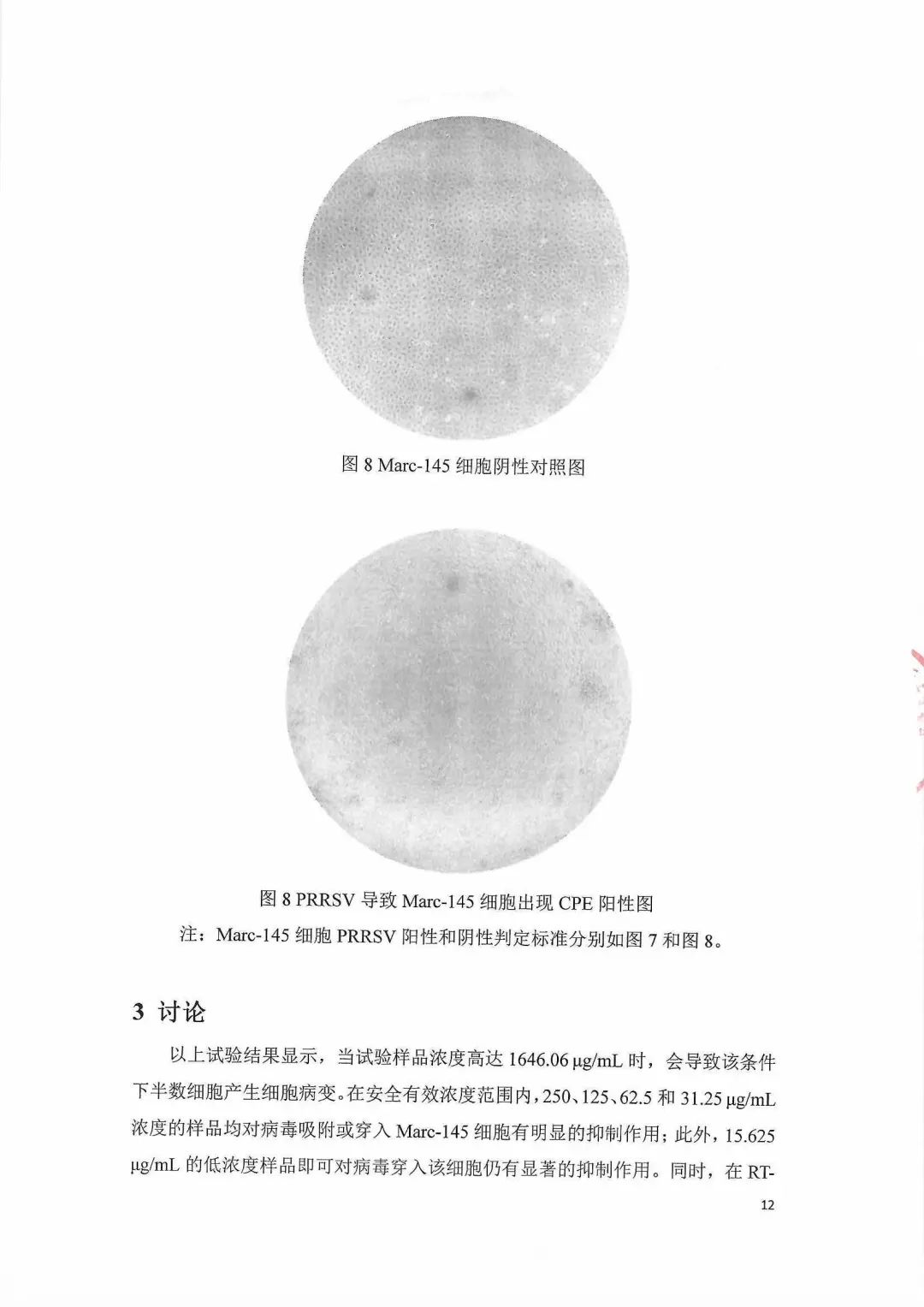 试验报告