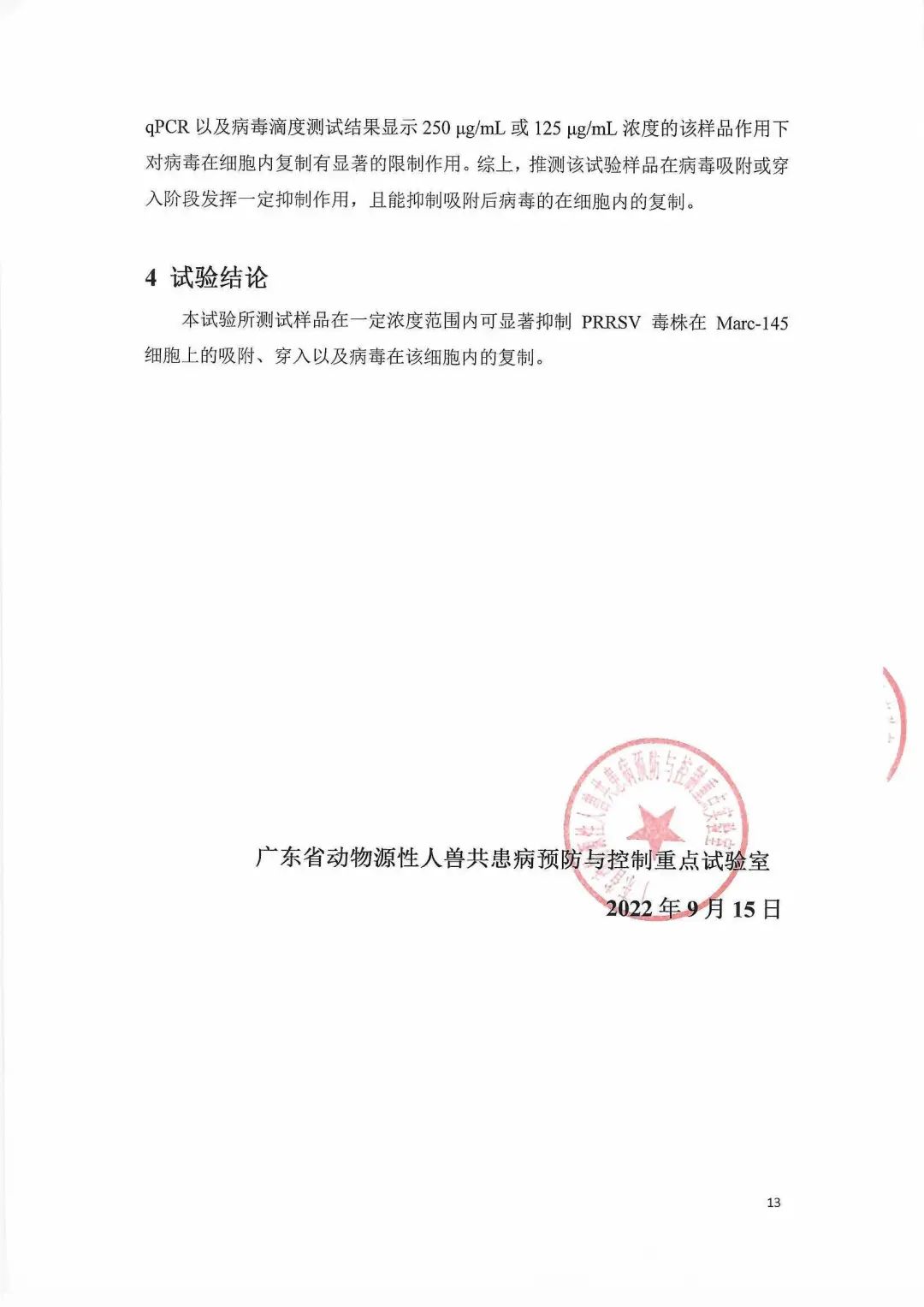 试验报告