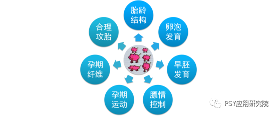 多生优生