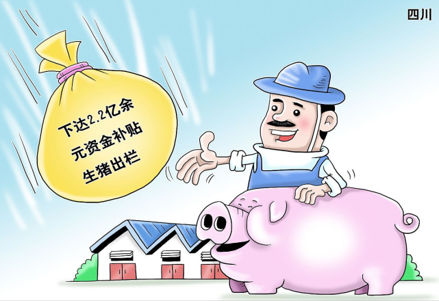 5连涨，猪价普遍“飘红”，价格逐步冲高26元/公斤！
