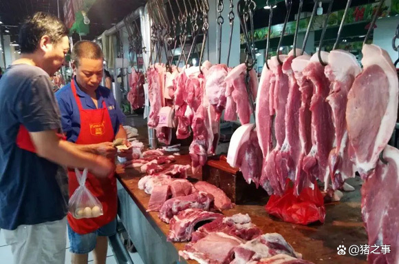 2022年10月05日全国各省市白条猪肉批发均价报价表，广东下跌2.25元，猪价要回落了？