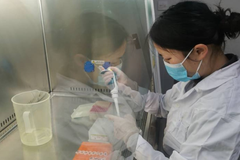 做好生物安全和疾病防控，当好猪场“守门员