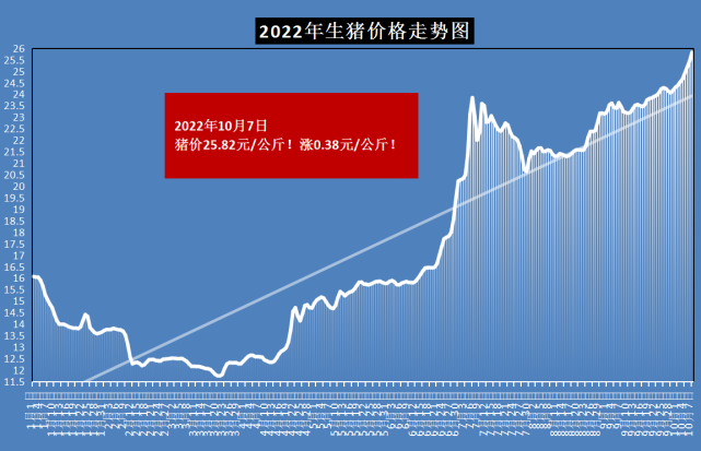 国庆猪价连涨，东北猪价涨势明显！市场到底发生了啥？