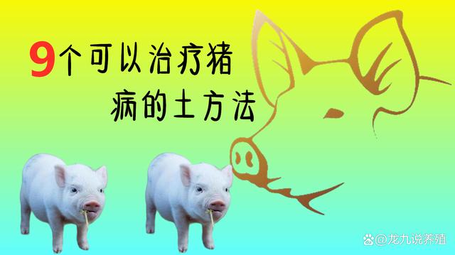9个可以治疗猪病的土方法，每个都很实用，赶紧收藏！